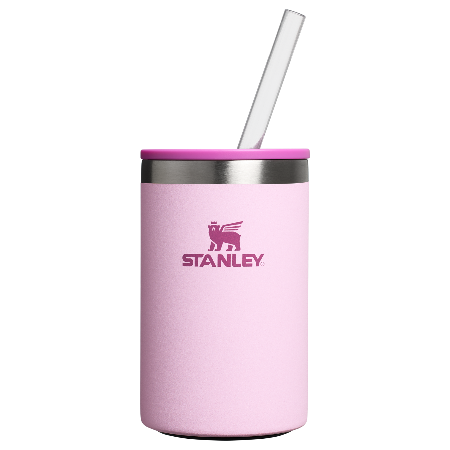 The Everyday Can Cooler Cup