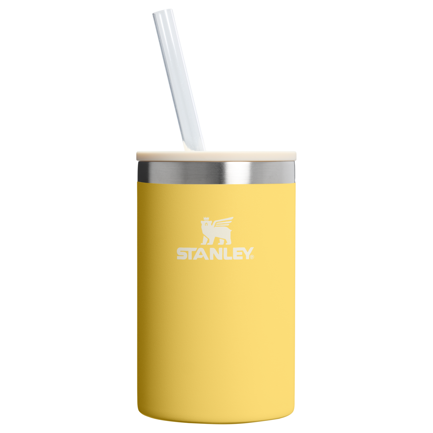The Everyday Can Cooler Cup